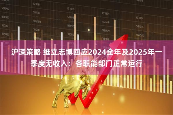 沪深策略 维立志博回应2024全年及2025年一季度无收入:各职能部门正常运行